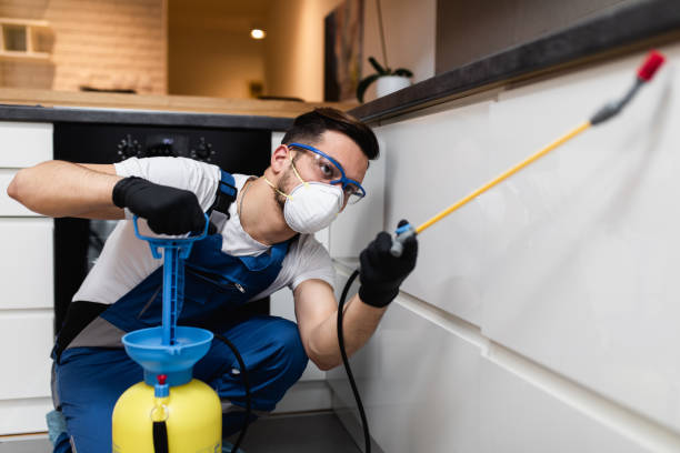 Best Termite Control Services  in Pampa, TX