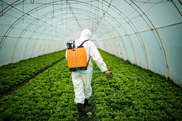 Best Pest Control for Homes  in Pampa, TX