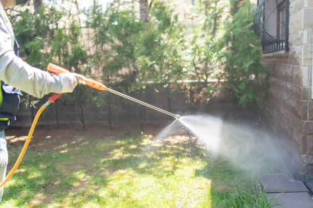Best Commercial Pest Control Services  in Pampa, TX