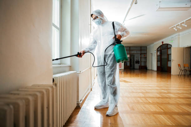 Best Ant Control Services  in Pampa, TX