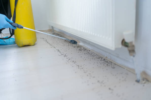 Best Pest Inspection Near Me  in Pampa, TX